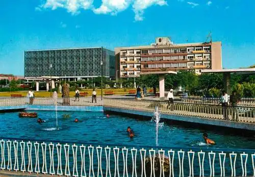 Kuwait municipality gardens