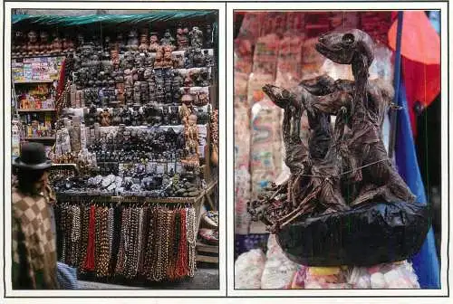 Bolivia La Paz Witches Market stalls and llama fetuses