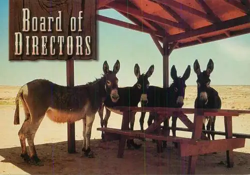 Animal humour types and scenes donkeys - Board of Directors