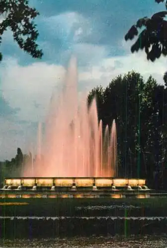 Hungary Budapest Springbrunnen von Margareteninsel bei Nacht