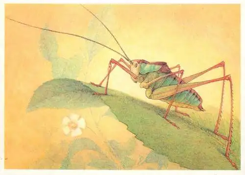 Insects postcard Isoimon Riabovi