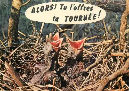 "Animaux humoristiques" La Becquee "Alors! Tu l'offres ta tournee"