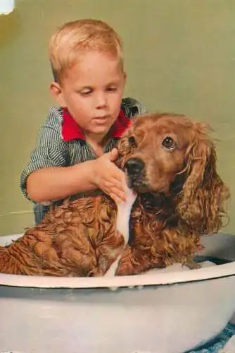 Young boy washing his dog