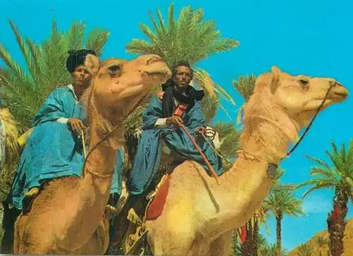 Le Maroc pittoresque Rigibats Les hommes bleus montant les chameaux