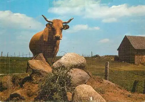 France La Reine de l'Aubrac