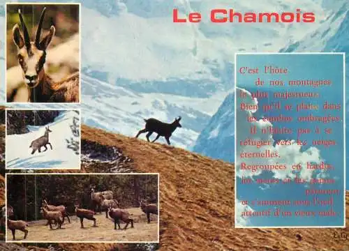 "Images de chez nous" Le Chamois multi view
