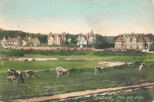 United Kingdom England Lyndhurst