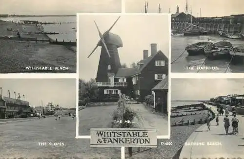 United Kingdom England Whitstable Tankerton windmill