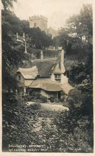 United Kingdom England Somerset Selworthy