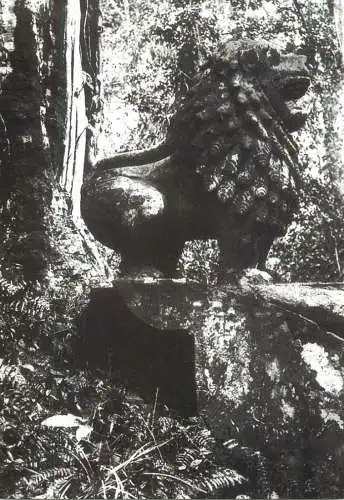 Cambodia Foret de Kompong Soai Lion dans de ruines