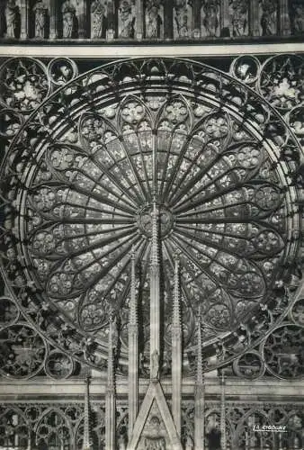 France Strasbourg Bas-Rhin La Cathedrale La Rosace detail view