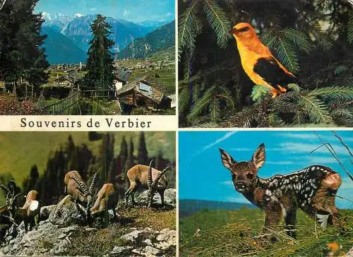 Switzerland souvenir de Verbier animals types and scenes multi view