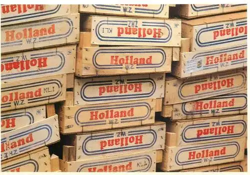Netherlands Holland vegetables crates detail aspect