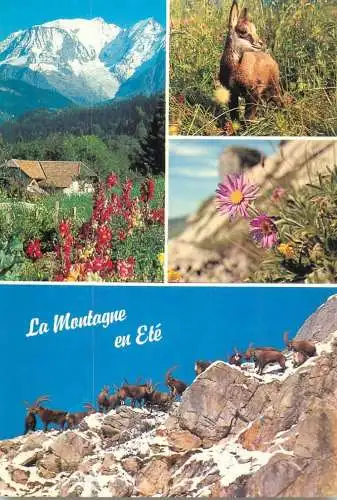 La montagne en ete different aspects nature, wildlife, landscapes