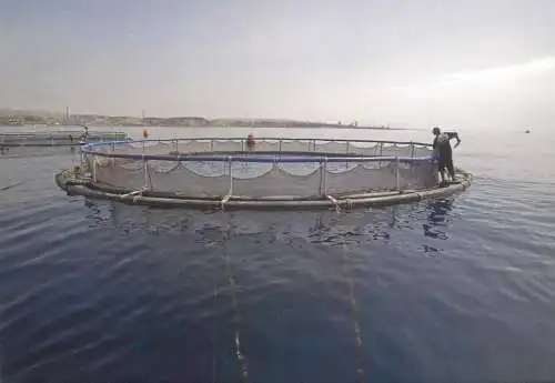 EU DG Regio Policy Cyprus developing fish farming by Kimagro