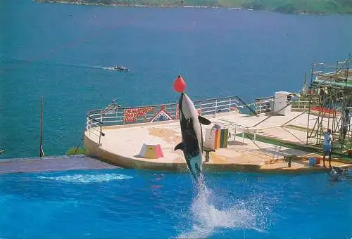 A4806 Hong Kong Ocean Park Theatre