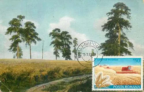 Maxi card lowers & plants trees