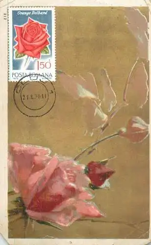 Maxi card lowers & plants roses