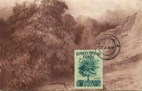 Maxi card lowers & plants trees