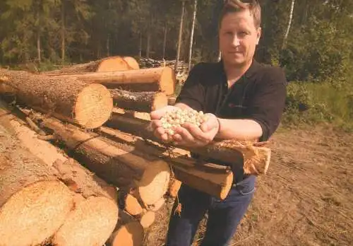 EU DG Regio Policy Finland forest resources for use in bio-energy project