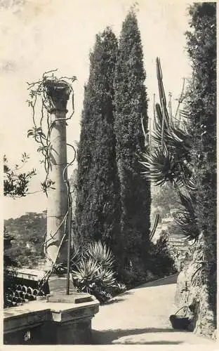 Monaco Les Jardins Exotiques