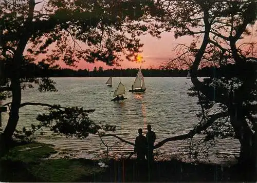 Belgium Mol Zilvermeer sunset view