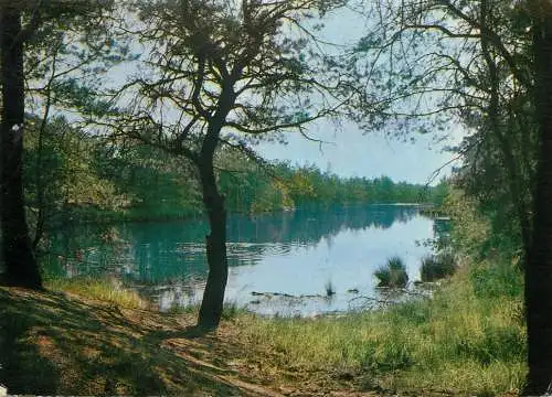 Belgium Domein "Zilvermeer" Mol picturesque scenery