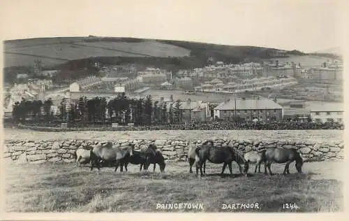 United Kingdom England Dartmoor Princetown