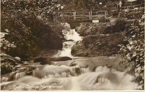 United Kingdom England Watersmeet rustic bridge