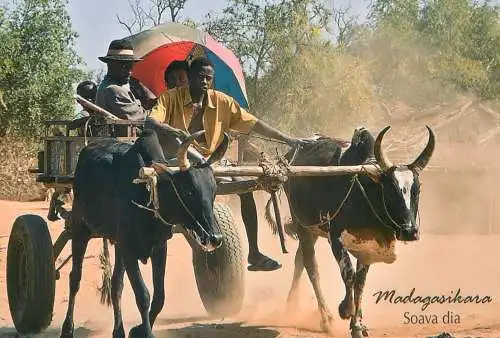 Madagascar Madagasikara Soava dia