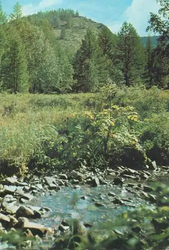 Mongolia postcard 1979