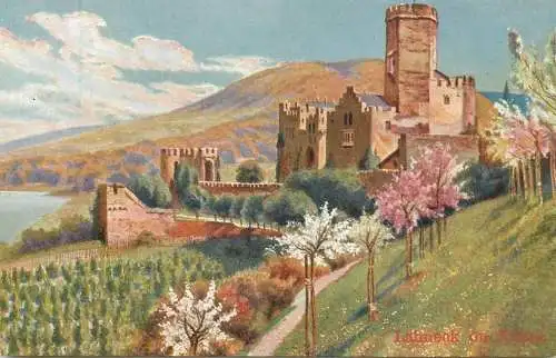 Allemagne Landschaft AK Lahneck on Rhine castle