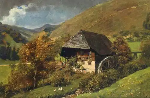 Allemagne Landschaft AK Muhle im Schwarzwald