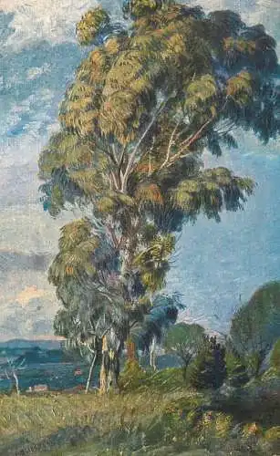 Allemagne Landschaft AK tree