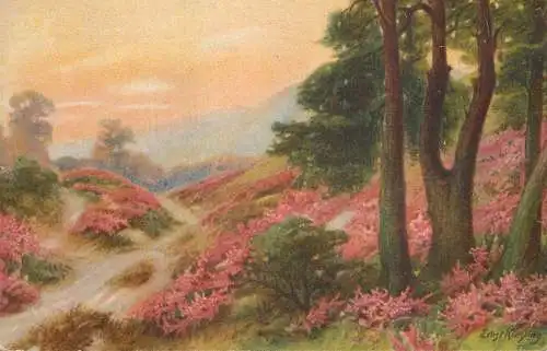 Allemagne Landschaft AK W. Ernst Kiesling flower beds