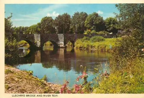 Llechryd bridge and river Teifi