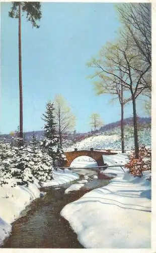 Bridge winter scenic postcard