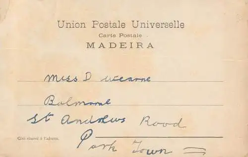 Madeira largo do Chafariz