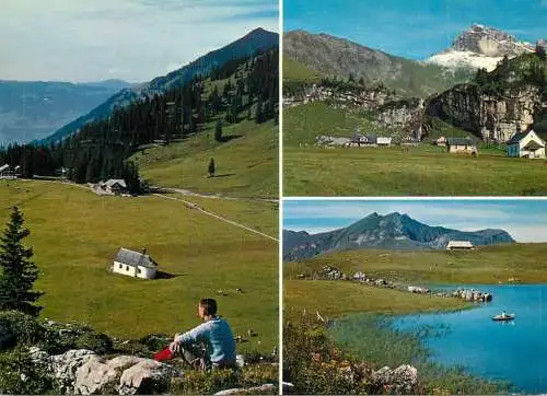 Switzerland Aelggi Alp