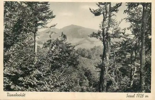 Karpatok Raho kornyeke, Tiszaborkut, Sesul