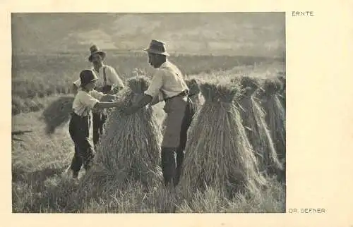 Agriculture harvesting - Ernte - Dr. Defner - 1939 Germany