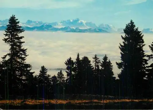 Switzerland Mont Blanc et mer de brouillard au coucher du soleil vus du Jura