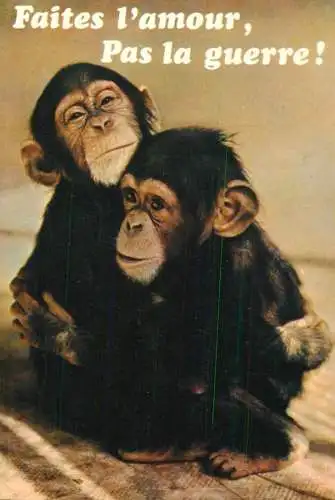 Animals apes monkeys hug embrace of war