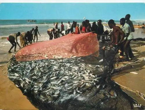 Senegal scene de peche