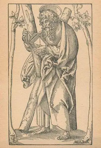 Lukas Cranach - Der Apostel Andreas