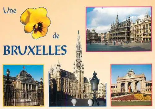 Belgium Bruxelles souvenir several views & floral motif