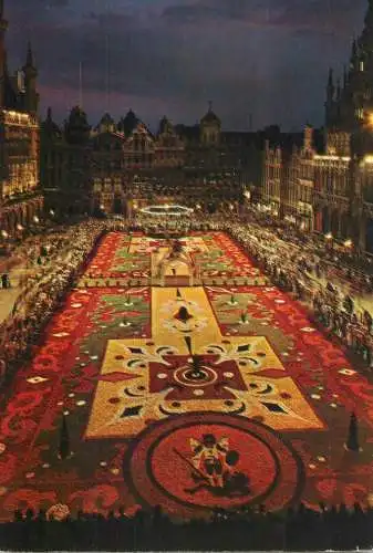 Belgium Bruxelles Grand Place Tapis de fleurs vue de nuit