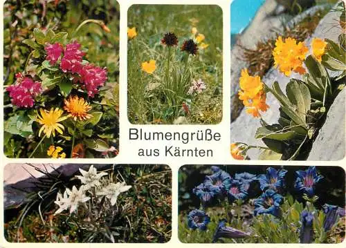 Austria Blumengrusse aus Karnten multi view