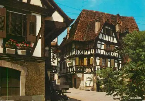France Obernai Bas Rhin Alsace Maisons Alasciennes
