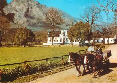 South Africa Cape Groot-Drankenstein Valley "Rhone" farm farmers with horse drawn carriage